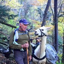 Le Conte Log: Life in the llama lane: #250 for Larry Russell