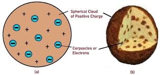 In thomson's plum pudding model of the atom, the electrons were embedded in a uniform sphere of positive charge like blueberries stuck into a muffin. Thomson S Atomic Model How It Works Postulates And Limitations