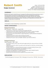 The finance assistant provides support to the finance and administration manager in maintaining an effective and efficient finance and at least three years' experience, preferably in a national or international ngo. Budget Assistant Resume Samples Qwikresume