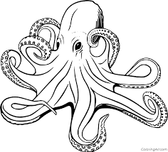 Select from 35919 printable coloring pages of cartoons, animals, nature, bible and many more. Smoothskin Octopus Coloring Page Coloringall