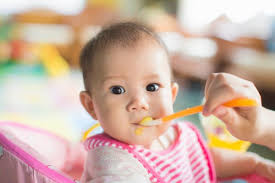 Pertumbuhan gigi si kecil memang menjadi perhatian yang besar saat tumbuh. Tak Perlu Bingung Mencari Menu Untuk Si Kecil Ini 10 Rekomendasi Resep Makanan Untuk Bayi Berusia