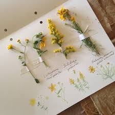 They will not be notified. Pin On Blumen