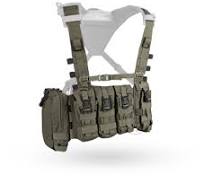 Crye Precision - AVS Detachable Chest Rig - Ranger Green | eBay