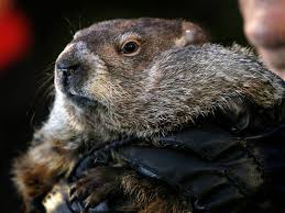 Groundhog day on february 2 is when we ask are we in for six more weeks of winter? A Short History Of Groundhog Day Smart News Smithsonian Magazine