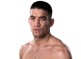 Sam Stout (Lightweight) MMA Profile