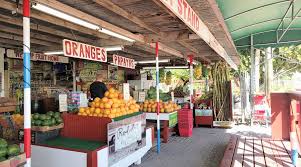 ROBERT IS HERE, Florida City