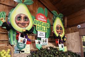 Image result for Light Avocado 1983 Fedders