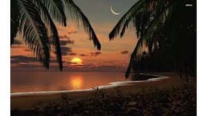 Find the best sunset wallpaper on wallpapertag. Sunset Vertical Beach Wallpaper 4k Novocom Top
