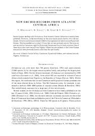 Image result for Microcoelia bulbocalcarata