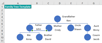 Excel Family Tree Template - Definition, How to Create?
