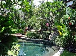 Beautiful Landscaping For For Our Pool Landscaping Around Pool Pool Landscape Design Pool Landscaping