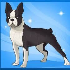 Pin On How To Draw A Bt