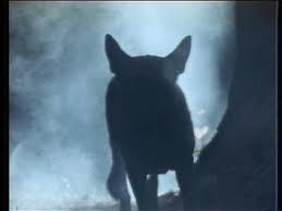 Werewolf of Washington (1973) -- Full Movie Review!