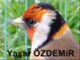 Saka Otum Kenesetli Youtube