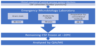 Image result for CSF PCR