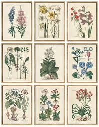 William Stafford De Bry Flowers 9 Pc William Stafford Oak Leaf Art