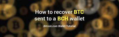 Bitcoin recovered quickly from its worst daily loss in 14 months, jumping 14% to $42,000, leading a crypto recovery from ether to cardano. I Sent Btc To My Bch Wallet How Do I Recover My Funds Instructions Zack Banack