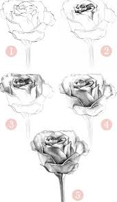 We will learn how to draw a rose easy?, how to draw a realistic rose?, etc. Drawing A Rose Step By Step With A Heart How To Draw A Honey