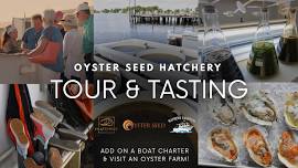 Oyster Seed Hatchery Tours & Tastings