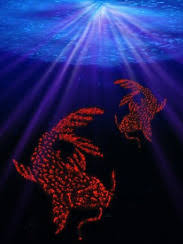 The original and the best digital photography forums, established january 1999. Unlocking The Potential Of Carbon Incorporated Silver Silver Molybdate Nanowire With Light Sciencedirect