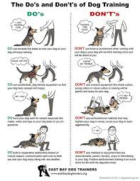 Dog Training Illustration Dog Training Obedience Dog Training Training Your Dog