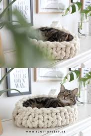 Un Joli Panier Pour Votre Chat Fait Main En Plus Je Vous Explique La Marche A Suivre Pour Creer Ce Petit Diy Pour Votre Chat Panier Chat Chat Diy Hamac Chat