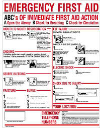 Free Printable First Aid Manual Healthy Hesongbai