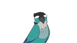 Pin By Cee Does Art On Bug Jaiden Animations Animated Drawings Animation