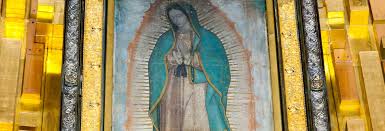 We have reviews of the best places to see in guadalupe. Guadalupe Basilica Excursion Mexico City