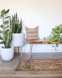 indoor garden room plant decor indoor living room plants indoor garden rooms