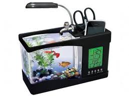 A planted goldfish tank is beautiful and fun for fish! Best Desktop Aquarium Tanks In 2020 Inlandaquatics Inland Aquatics