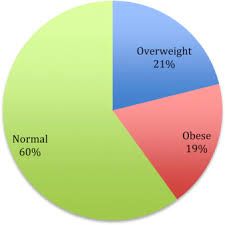 If colors change their meaning between charts, this can make it harder for the reader to understand the chart. Quality Of Life And Health Outcomes In Overweight And Non Overweight Children With Asthma Journal Of Pediatric Health Care