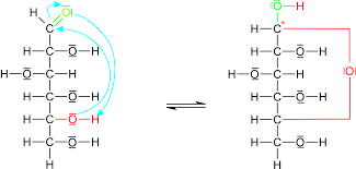 Oxidation der aldehydgruppe nicht möglich. 04 1 Ringstruktur Der Monosaccharide