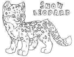 Download & print ➤leopard coloring sheets for your child to nurture his/her coloring creative skills. Snow Leopard Coloring Pages Animal Coloring Pages Baby Coloring Pages Cat Coloring Page
