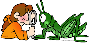 Staff LTI Observations – Prep for December 13th – PD | Met Connect