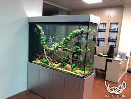 Pin Oleh Barry L Di Aquarium And Fish
