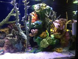 Step by step dvd guides on fake garden rock making, water features, more. How Does My Fowlr Artificial Tank Look Reef2reef Saltwater And Reef Aquarium Forum