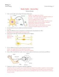 Pogil activities for ap to download free neuron function openwetware you need to 8 solubility pogil answer key 8 solubility pogil answer key 1' naming of. Micrelec Axon Rtseng It Pdf Free Download