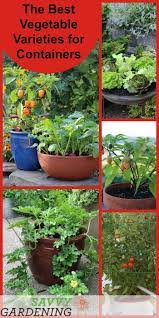 Container Vegetable Plants The Best Varieties For Success Planting Vegetables Growing Vegetables Container Gardening Vegetables