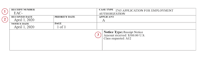 Your green card number is printed on the back side of the current edition of the permanent resident card there are several codes for uscis service centers. 4 4 Automatic Extensions Of Employment Authorization Documents Eads In Certain Circumstances Uscis