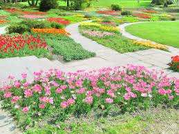 Ihr könnt eine pflanzenvielfalt entdecken, für die ihr normalerweise wochenlang. Botanischer Garten Grugapark Travel Guidebook Must Visit Attractions In Essen Botanischer Garten Grugapark Nearby Recommendation Trip Com