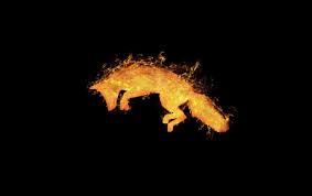 Check spelling or type a new query. Cool Fox Wallpapers Wallpaper Cave