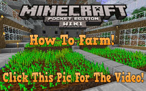 Make the blocks in between sand. Farming Minecraft Bedrock Wiki Fandom