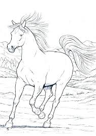 Realistic horse coloring pages for adults to print. Detailed Horse Coloring Pages Free Realistic Horse Coloring Pages Wild In Running Horses Page Free Re Horse Coloring Horse Coloring Pages Animal Coloring Pages