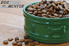 Diamond can be pricier than other brands, but each formula provides essential. Review Of Wellness Core Natural Grain Free Dry Dog Food Original Turkey Chicken