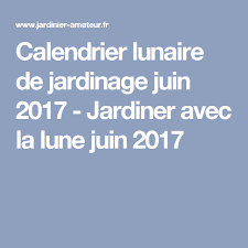 Tous nos conseils pour jardiner avec la lune : Calendrier Lunaire De Jardinage Janvier 2021 Jardiner Avec La Lune Calendrier Lunaire Lune Lunaire