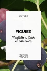 Epingle Sur Potager