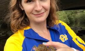 Online Educator Resources