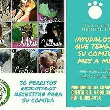 Antes de realizar nada, lo primero que tienes que pensar es en el tamaño que va a tener. Casa De Acogida Para Perritos Viejitos Princesa Del Sur Home Facebook