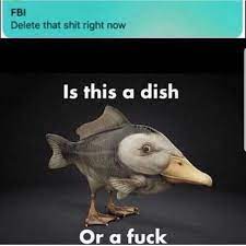 Is This A Dish Fbi Delete That Right Now Meme Ahseeit